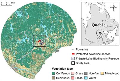 Balancing wildlife protection and wildfire threat mitigation using a network optimization approach